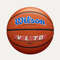 Wilson Evolution Basketball