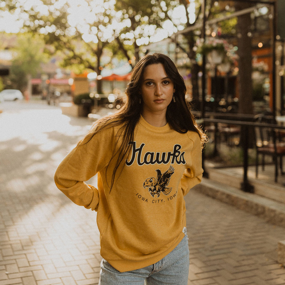 Iowa Hawks Triblend Crew