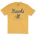 Iowa Hawks Triblend Short Sleeve Tee