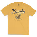 Iowa Hawks Triblend Short Sleeve Tee