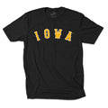 Vintage Iowa Baseball Triblend Short Sleeve Tee
