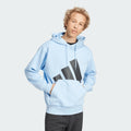 Adidas Essentials Big Logo Fleece Hoodie