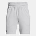 UA Tech Vent Shorts