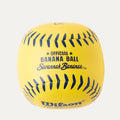 Savannah Bananas A200 10 Glove, Ball & Bat Kit